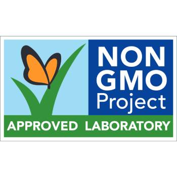 New Project - 2025-09-10T180757.292