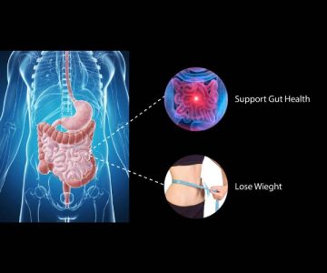 New Project - 2025-09-16T172404.711